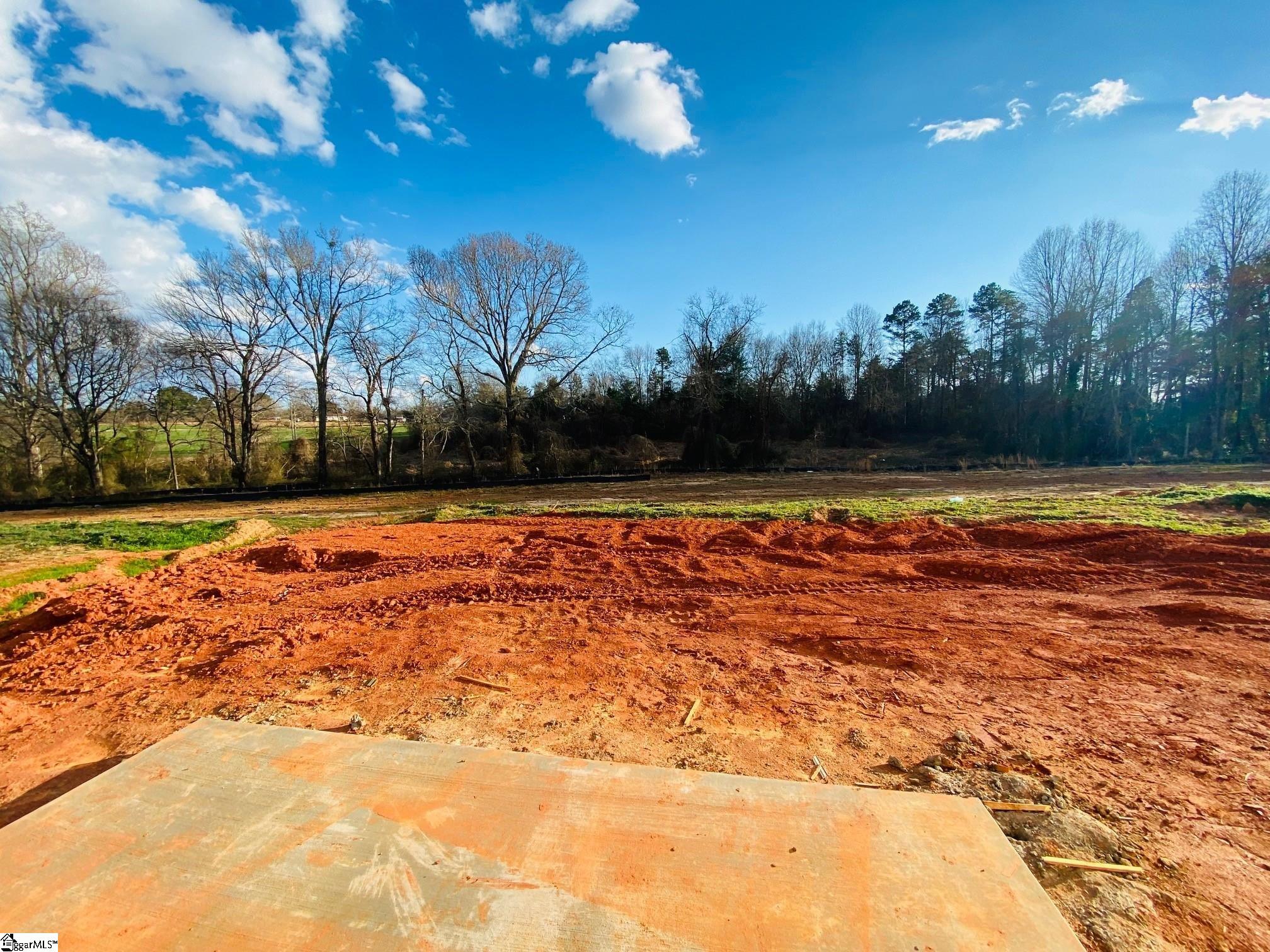 546 New Cut Meadows Road, Unit HOMESITE 54 Inman, SC 29349 - Photo 4 of 19