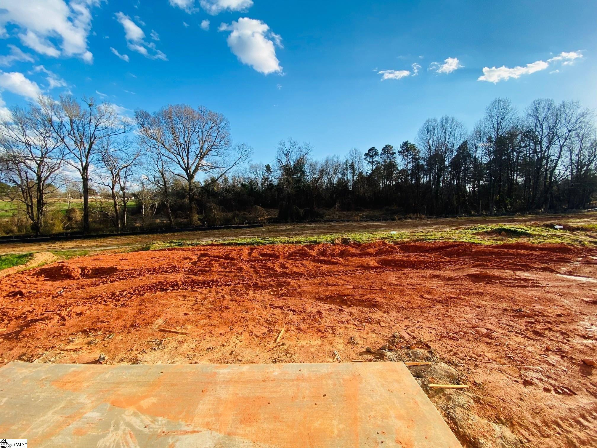 546 New Cut Meadows Road, Unit HOMESITE 54 Inman, SC 29349 - Photo 5 of 19