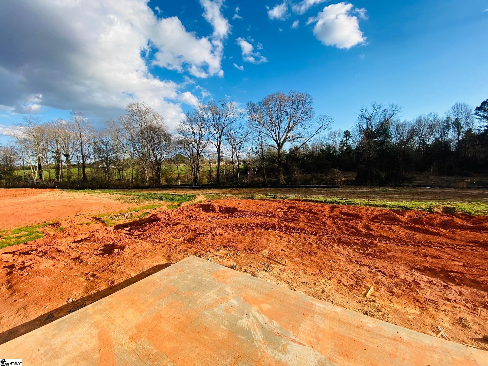 546 New Cut Meadows Road, Unit HOMESITE 54 Inman, SC 29349 - Photo 6 of 19