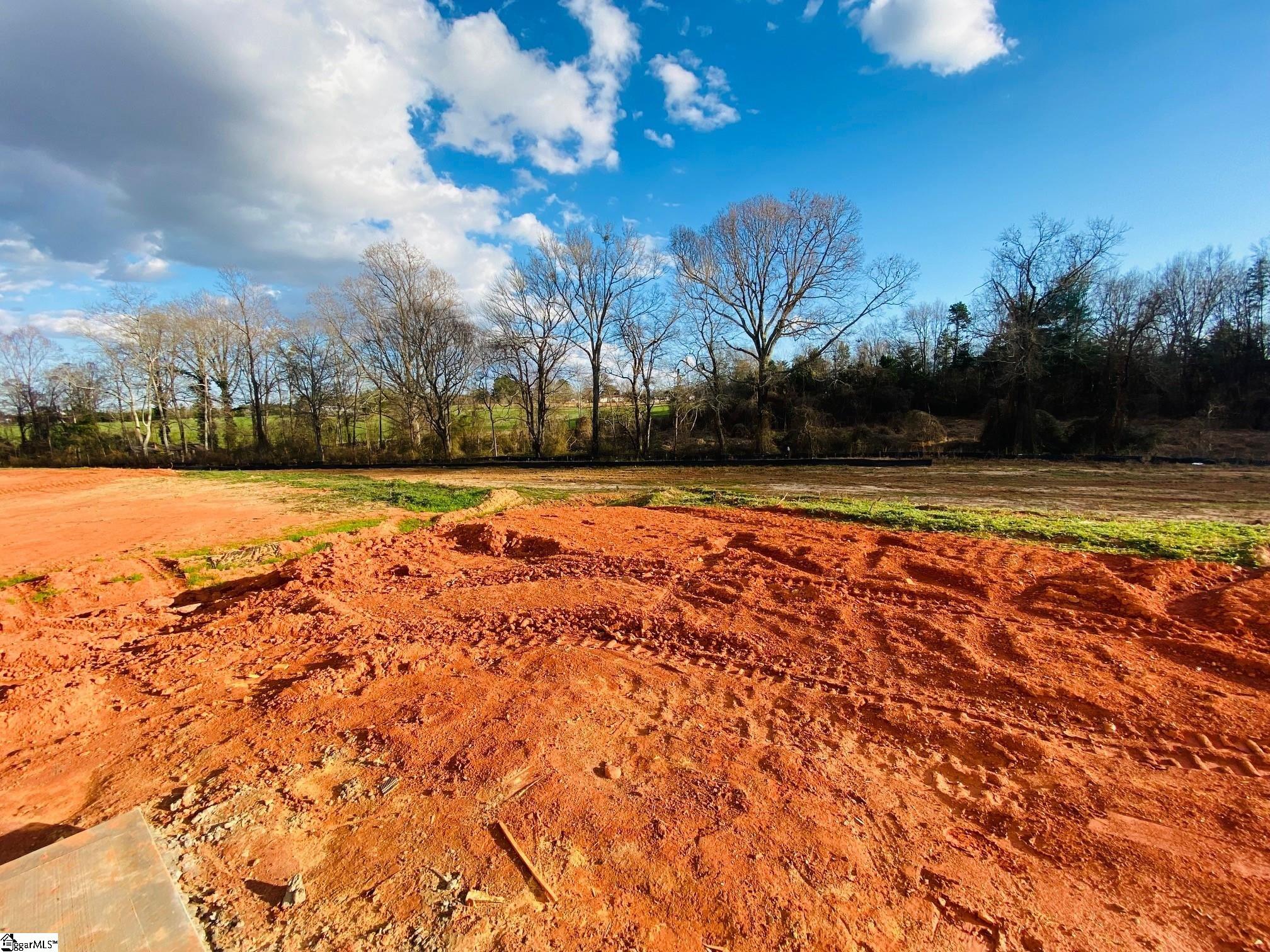 546 New Cut Meadows Road, Unit HOMESITE 54 Inman, SC 29349 - Photo 9 of 19