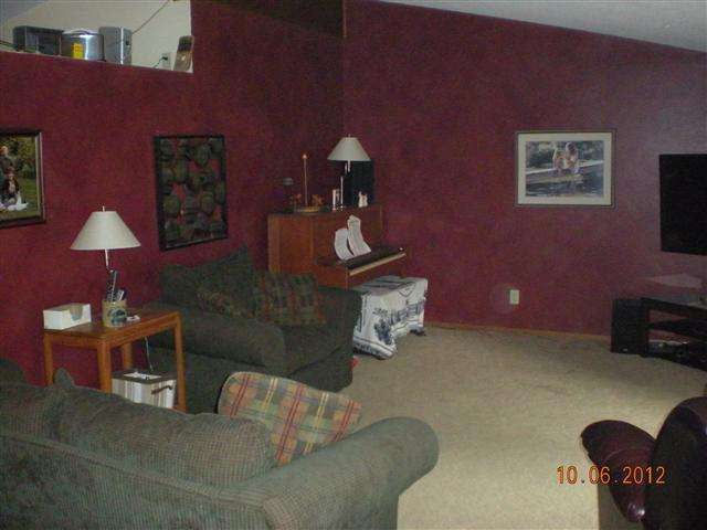 201 West Division Road Shannon, IL 61078 - Photo 6 of 12 a living room with furniture