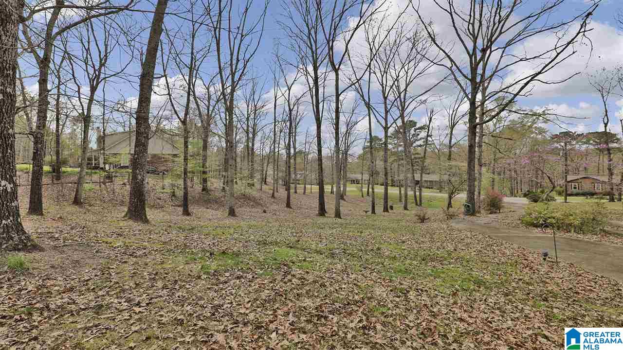 133 Dee Hendrix Road Bessemer, AL 35023 - Photo 2 of 34