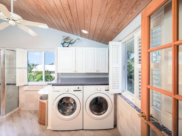 a view of a garden with a chair