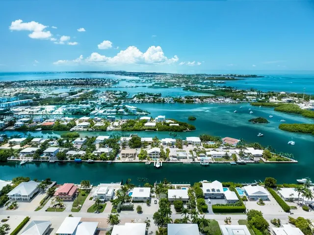 a backyard with potted plants and large tree