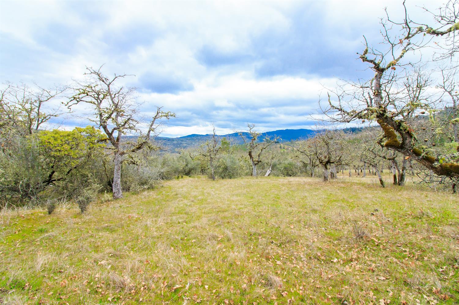 0 Wren Ridge Eagle Point, OR 97524 - Photo 9 of 12 Additional Photo