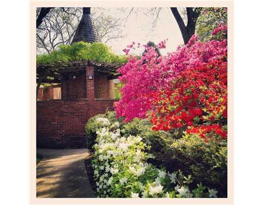 458 Sulgrave Road Pittsburgh, PA 15211 - Photo 4 of 14 Yard/Garden.