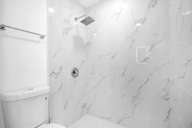 a bathroom with a shower and a toilet