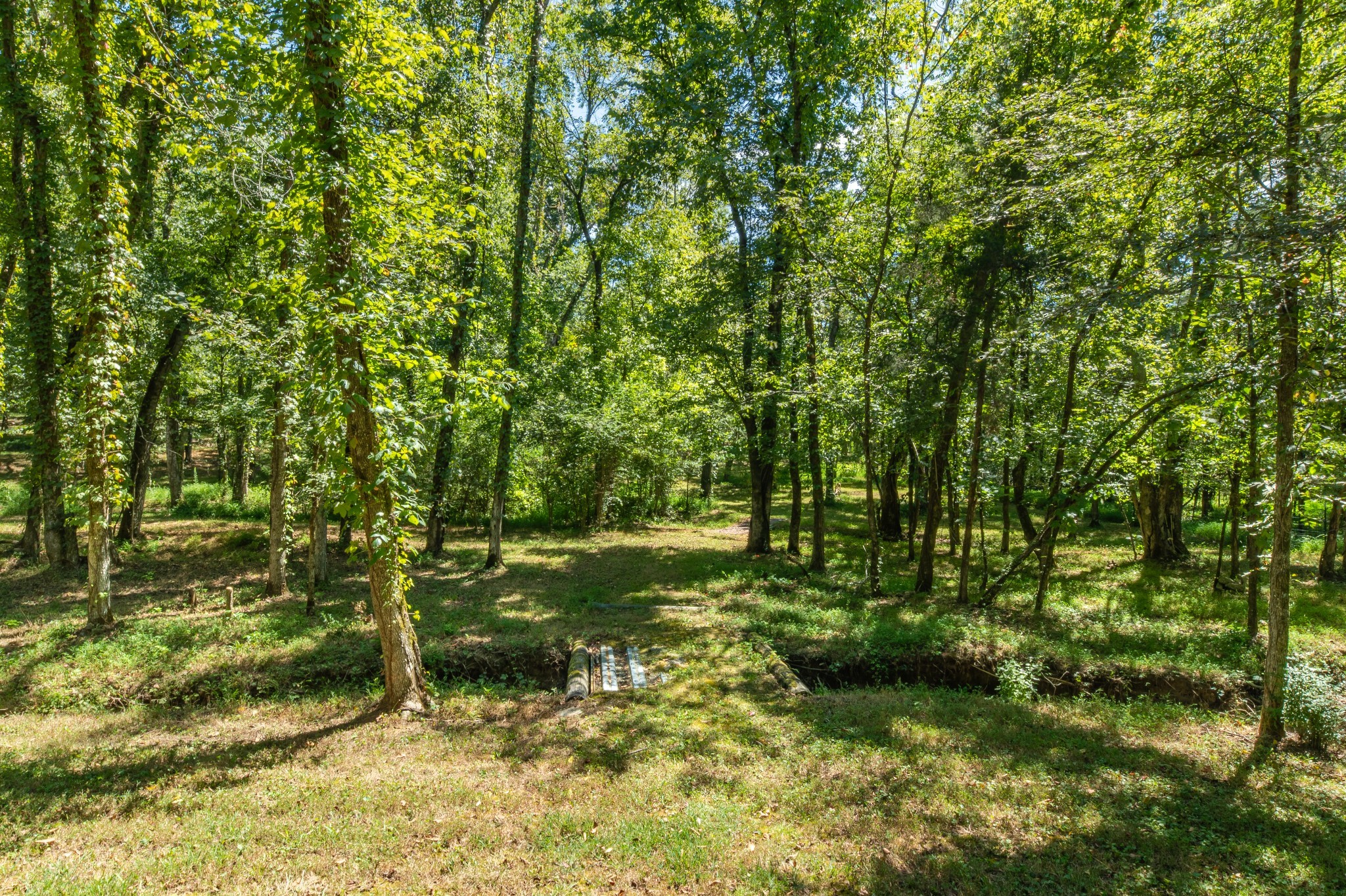 5085 Flat Creek Road Spring Hill, TN 37174 - Photo 12 of 60 Gallery Image 12
