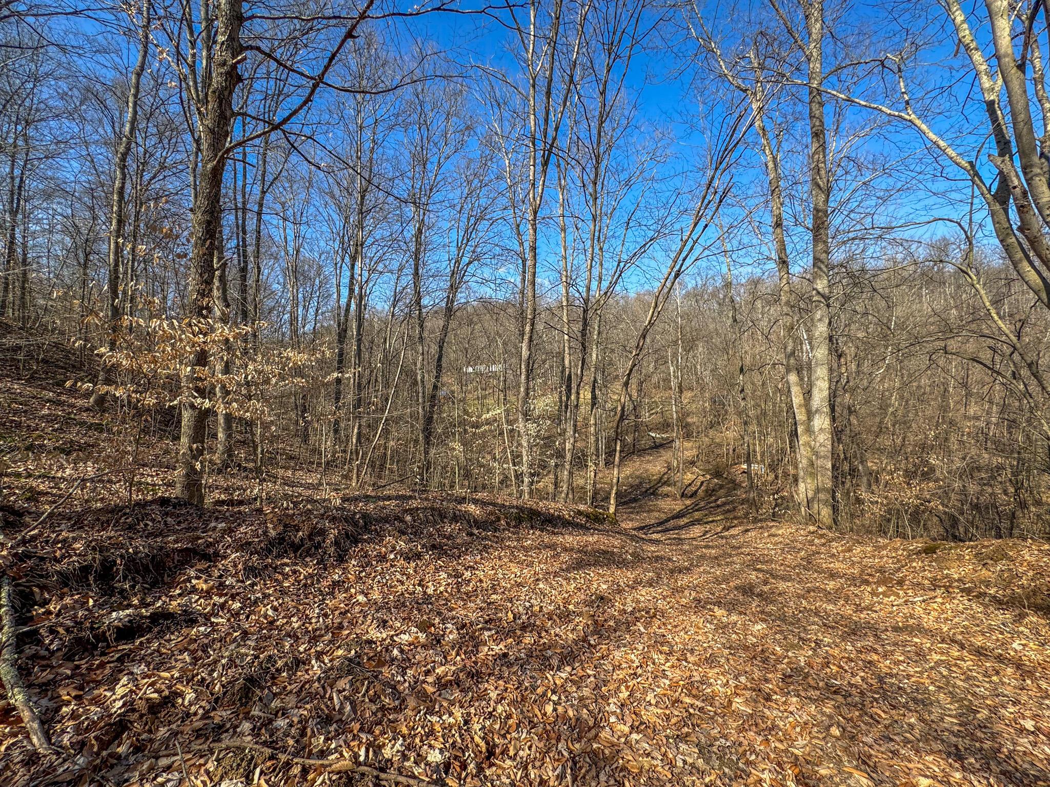 400 Virginia Ridge Road Philo, OH 43771 - Photo 2 of 15 virginia ridge -02