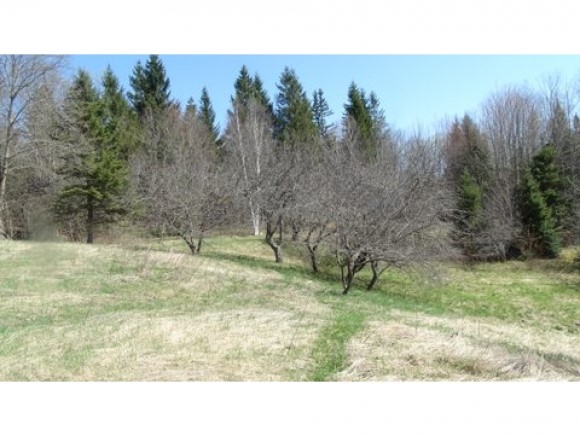 617 Deer Ridge Road Newark, VT 05871 - Photo 3 of 12 Gallery Image 3