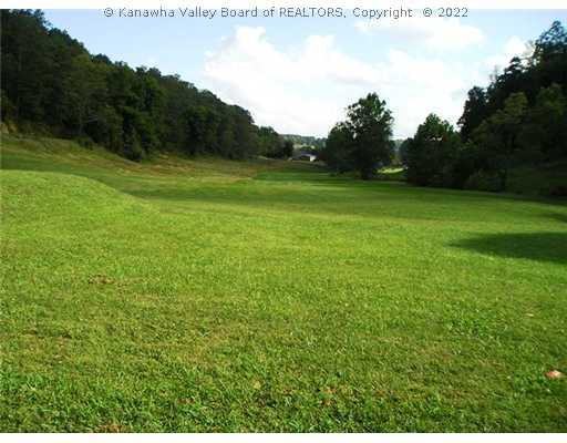4577 Medina Road Ravenswood, WV 26164 - Photo 4 of 8 Land/Lot.