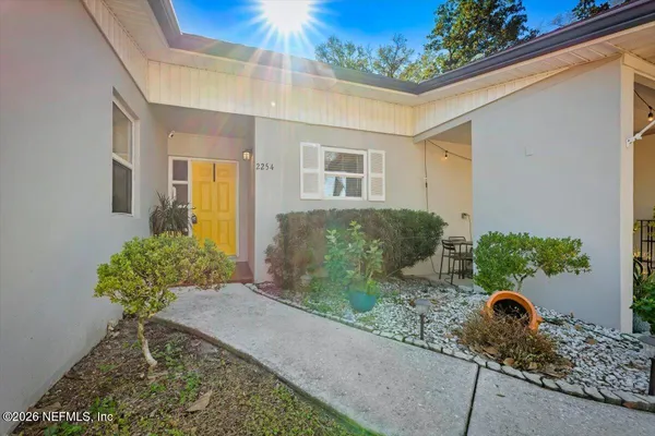 a view of a backyard with plants and a potted plant