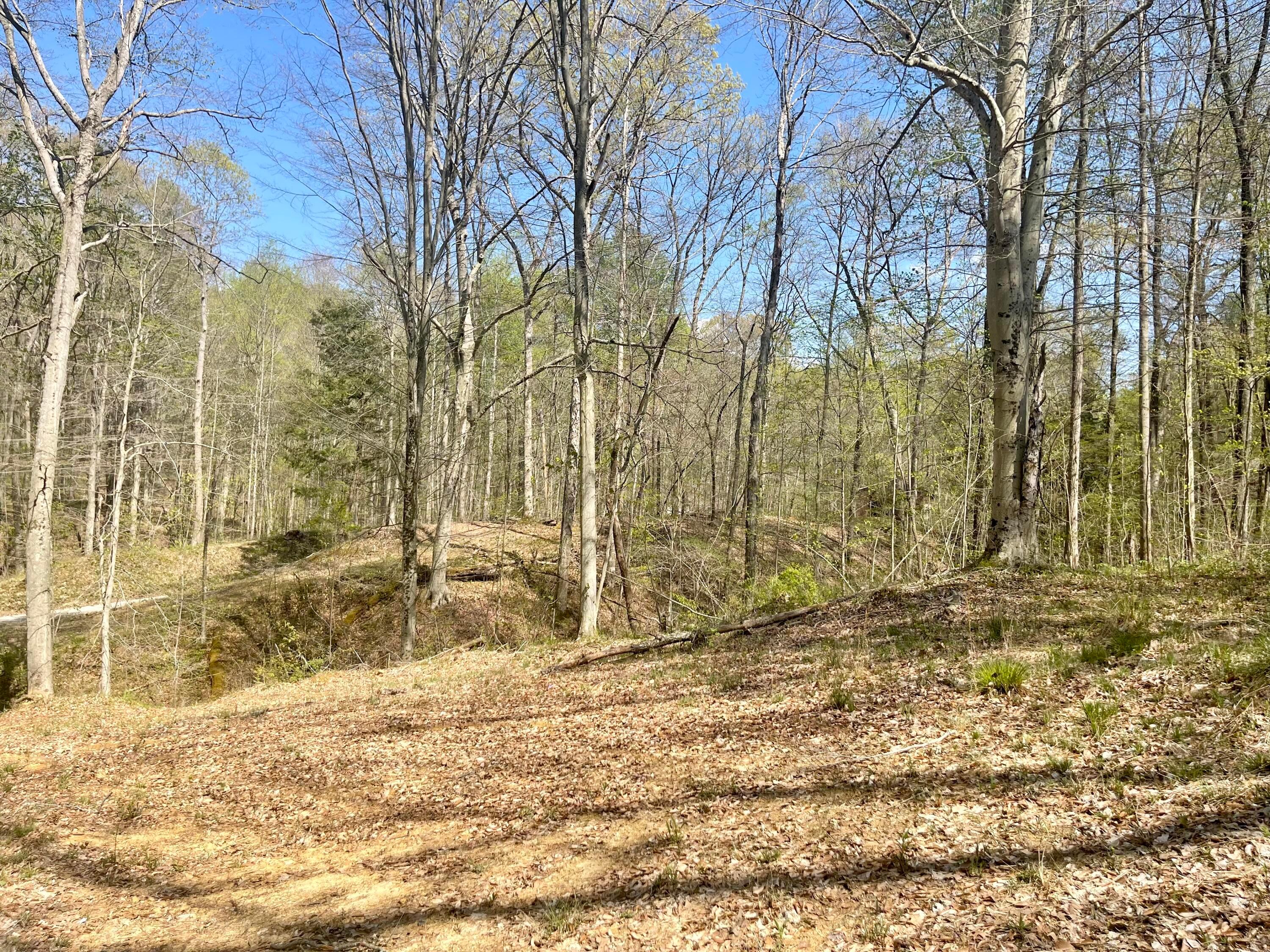0 Dunlap Road Rockbridge, OH 43149 - Photo 5 of 18 0 Dunlap Road, Rockbridge, Ohio