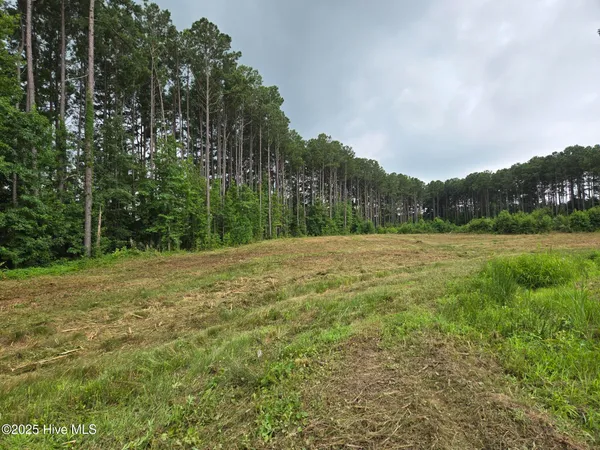 $70,000 | Lot 50 Roseheath Court, Bailey, NC 27807