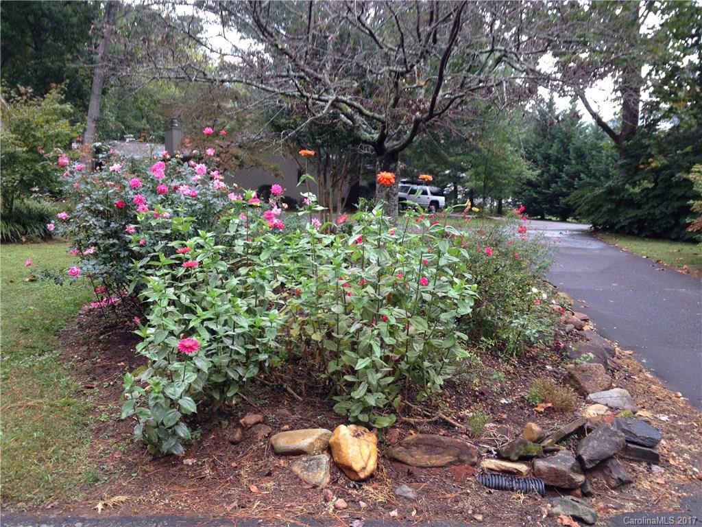 55 Diamond Ridge Lane Columbus, NC 28722 - Photo 20 of 23