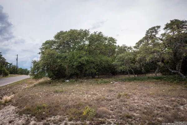 a view of a field with trees in the background