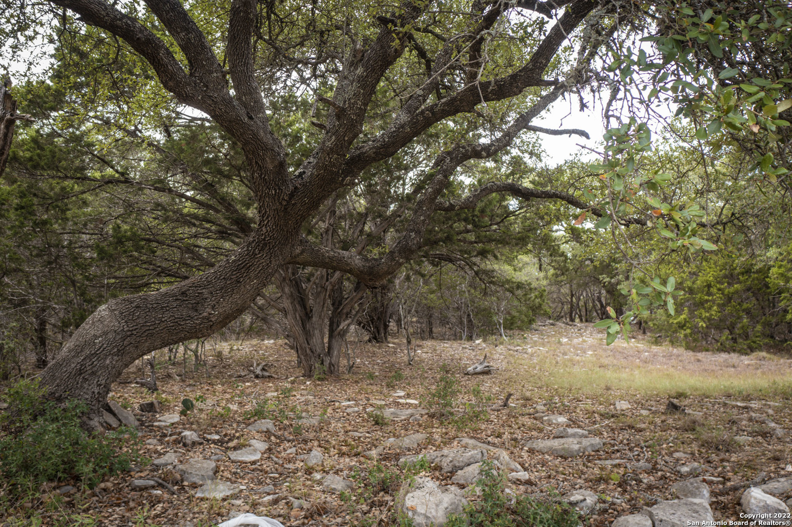288 Kellog Fischer, TX 78623 - Photo 3 of 10 a view of snow on a field