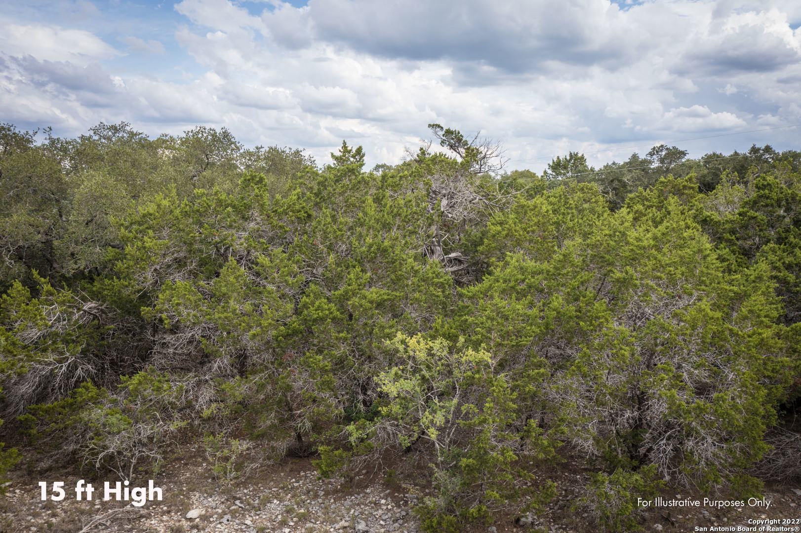 288 Kellog Fischer, TX 78623 - Photo 5 of 10 a view of a city with lush green forest