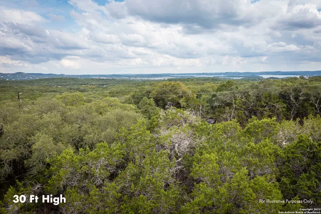 a view of a city with lush green forest