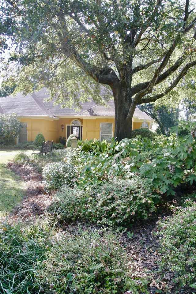 112 Arbor Ridge Road Ridgeland, MS 39157 - Photo 3 of 24 Photo 3