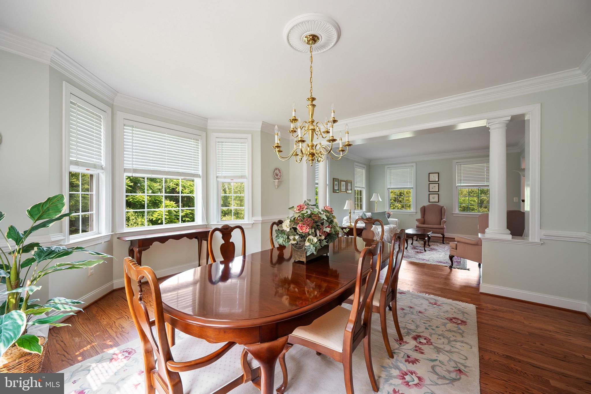 21785 Watson Road Leesburg, VA 20175 - Photo 10 of 58 Gallery Image 10