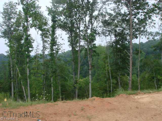21 The Bluffs Rural Hall, NC 27045 - Photo 3 of 9 Other. The rear yard is huge and has a wooded view. Perfect for a growing family, you ll enjoy this home and it s yard for years to come. A nice level corner lot. Don t delay, this offering won t last long. Act now to choose the finishes.