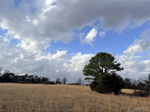 $118,650 | 1 B Audrain Road 935, Mexico, MO 65265