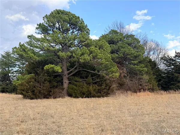 $118,650 | 1 B Audrain Road 935, Mexico, MO 65265