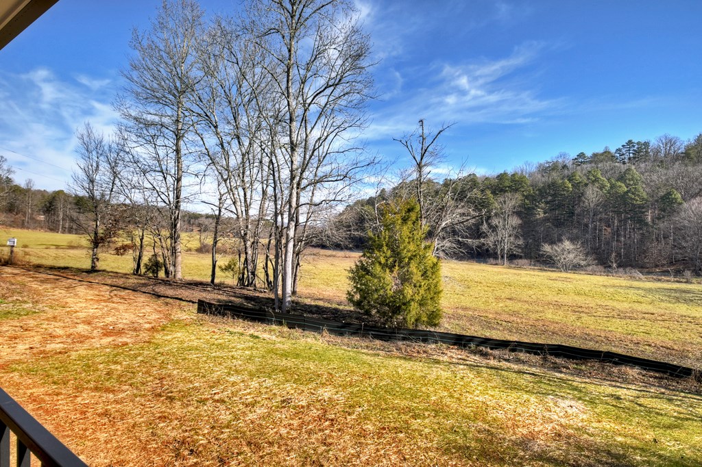 584 Brannon Nix Road Young Harris, GA 30582 - Photo 29 of 36 a view of a yard with an outdoor space