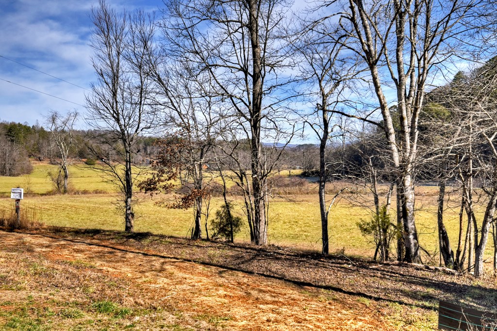 584 Brannon Nix Road Young Harris, GA 30582 - Photo 3 of 36 a view of a yard with trees