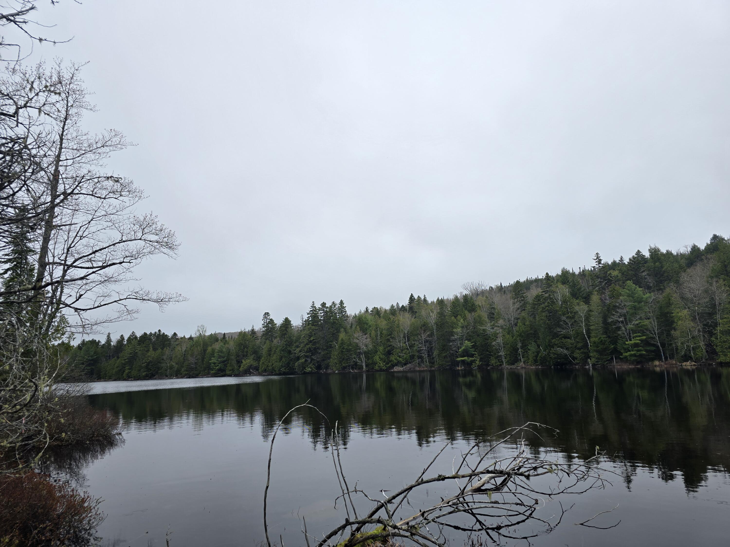 Lot D Lot D Deer Point Road Robbinston, ME 04671 - Photo 10 of 21 20250507_124312