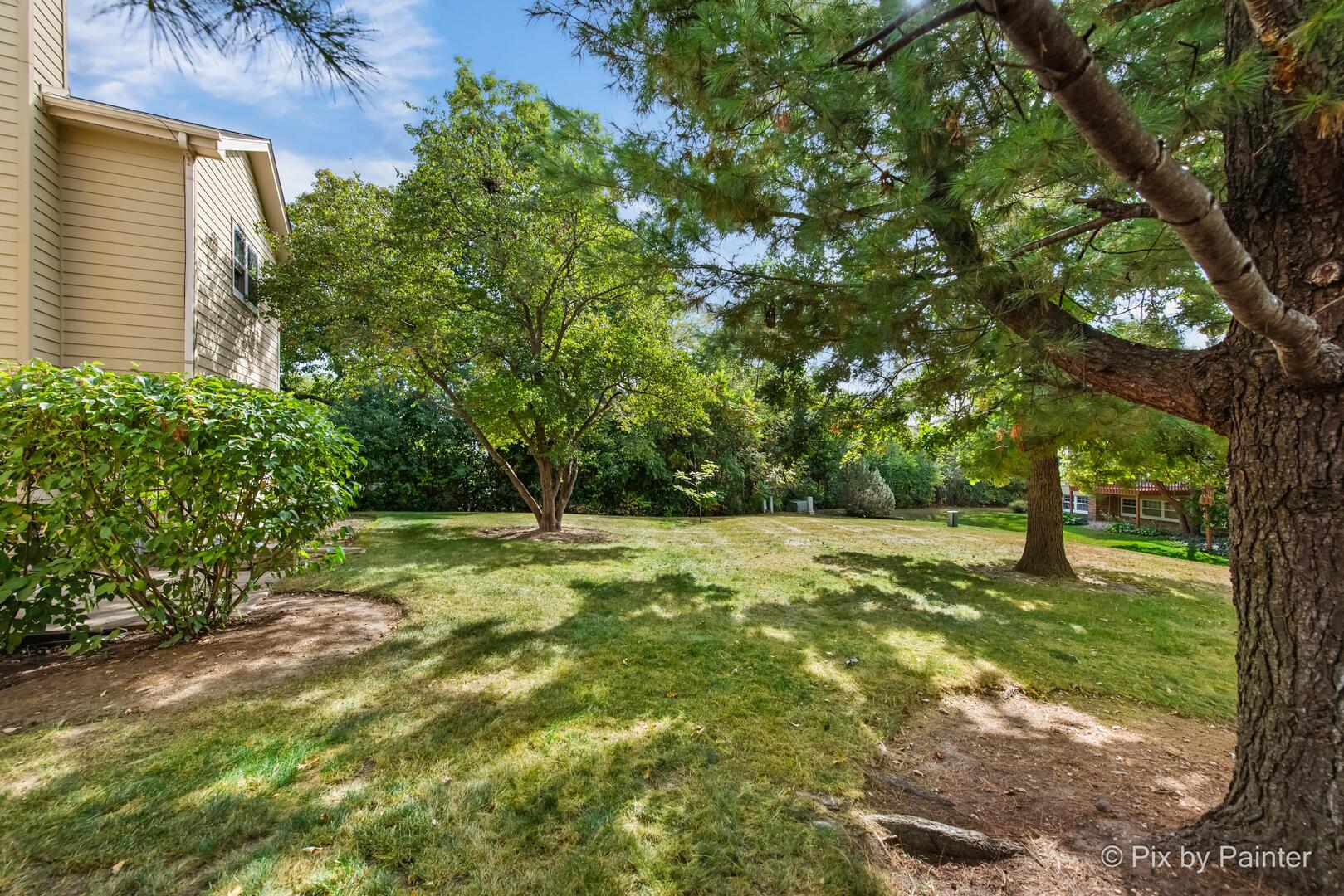 519 Shagbark Drive Elgin, IL 60123 - Photo 30 of 38 a view of a yard with a tree