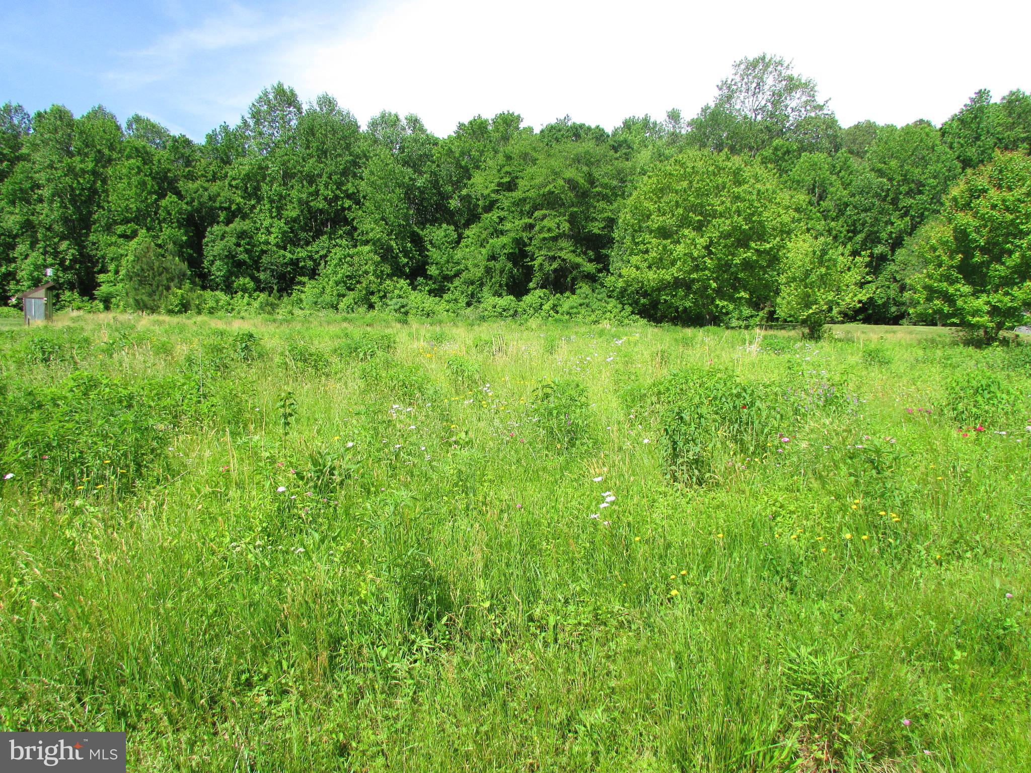 Lot Deep Deep Branch Road Georgetown, DE 19947 - Photo 1 of 4 Gallery Image 1