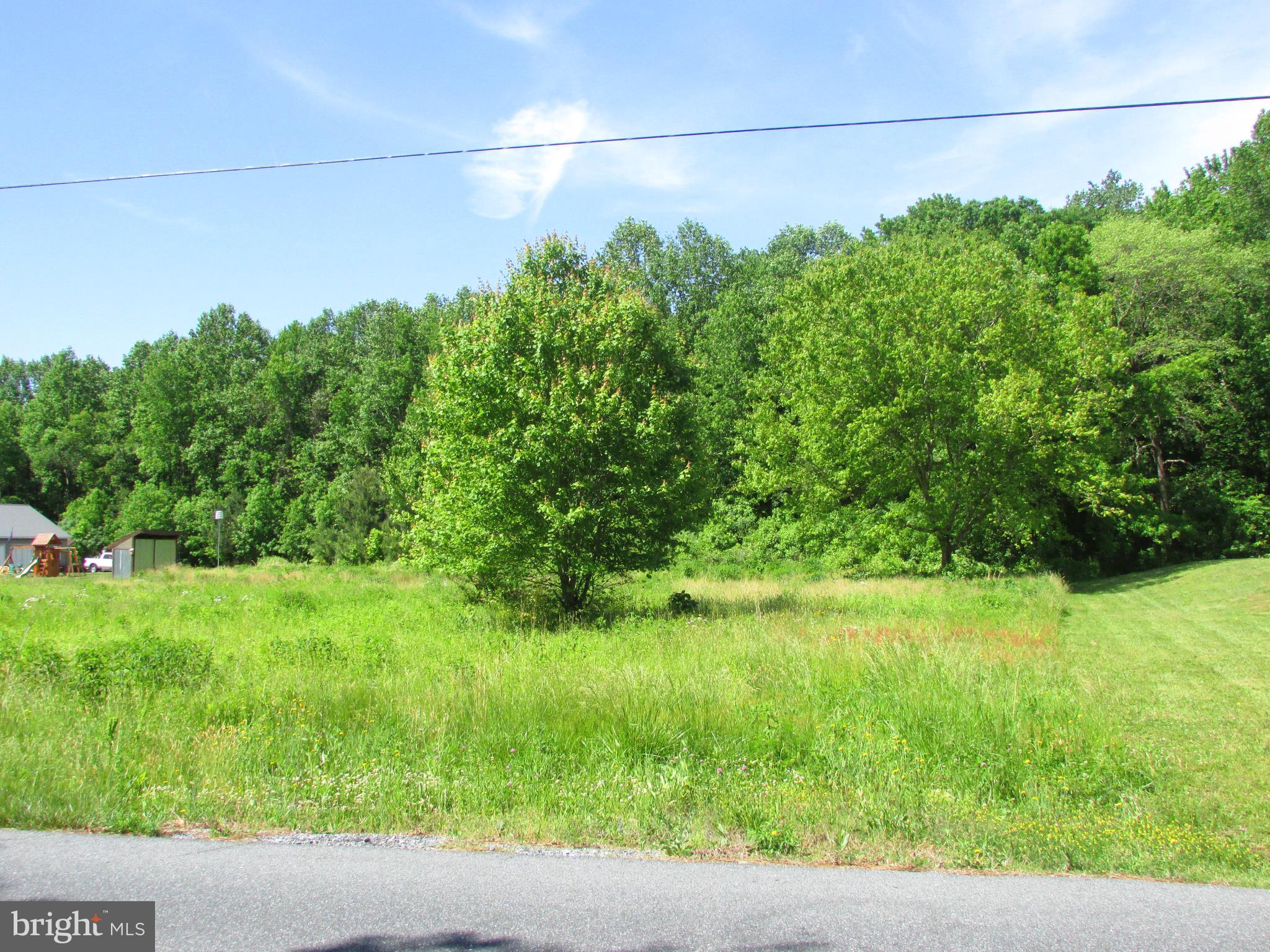 Lot Deep Deep Branch Road Georgetown, DE 19947 - Photo 4 of 4 Gallery Image 4