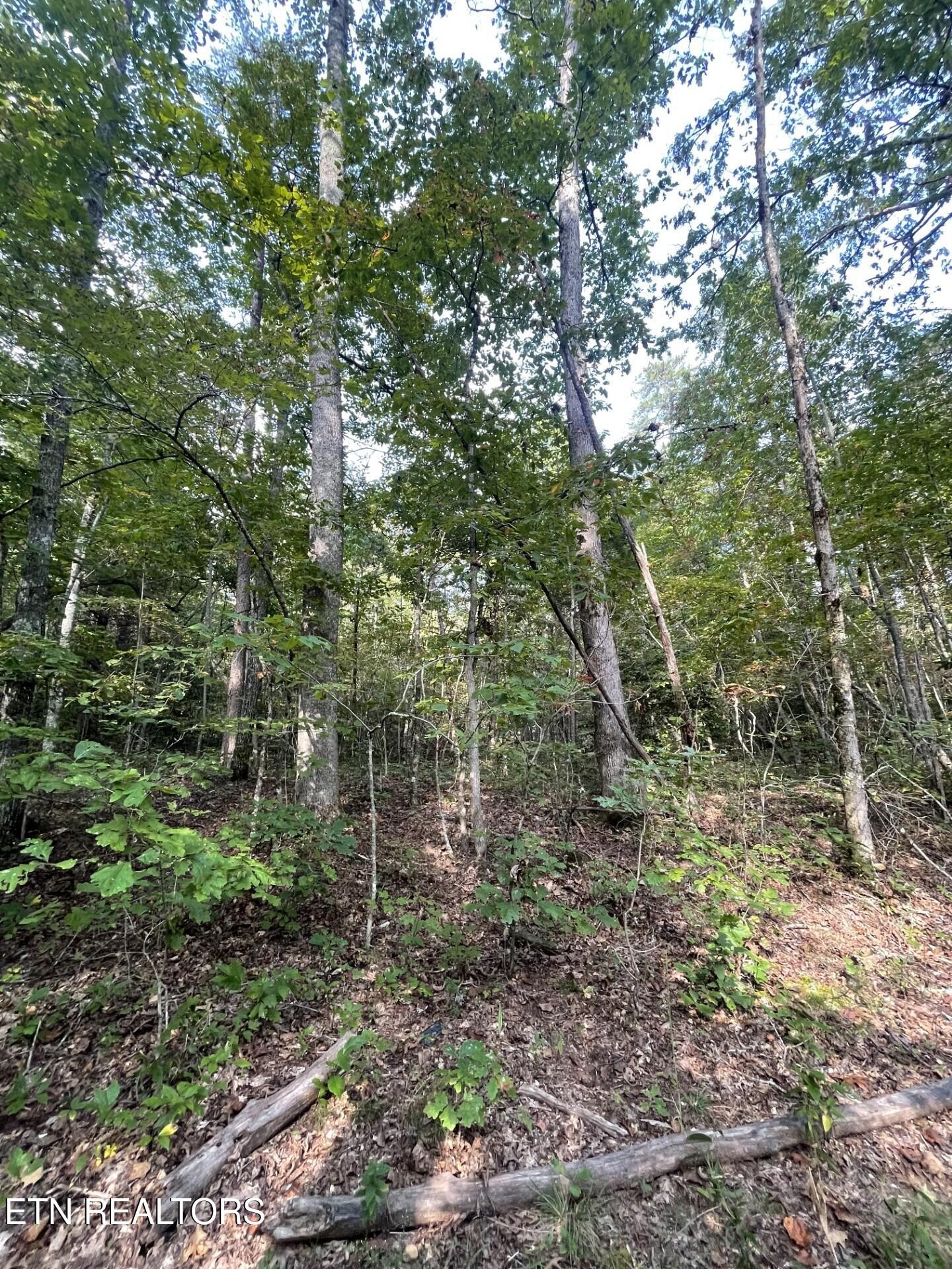 0 Off Buckridge Road Crossville, TN 38572 - Photo 10 of 19 Gallery Image 10