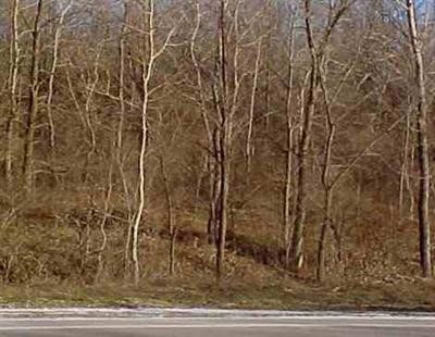 0 State (m-15) Road Davison, MI 48423 - Photo 2 of 2 20302687-1.JPG