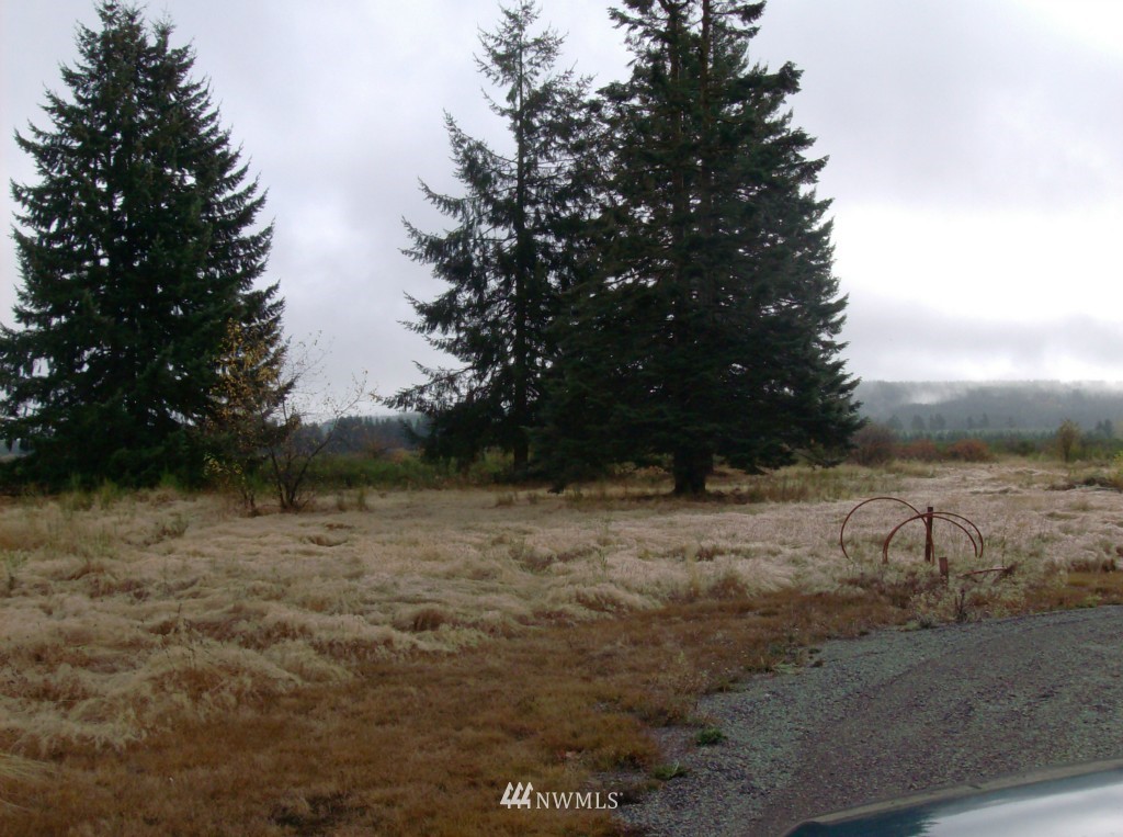 18434 Nutmeg Street Southwest Rochester, WA 98579 - Photo 2 of 2