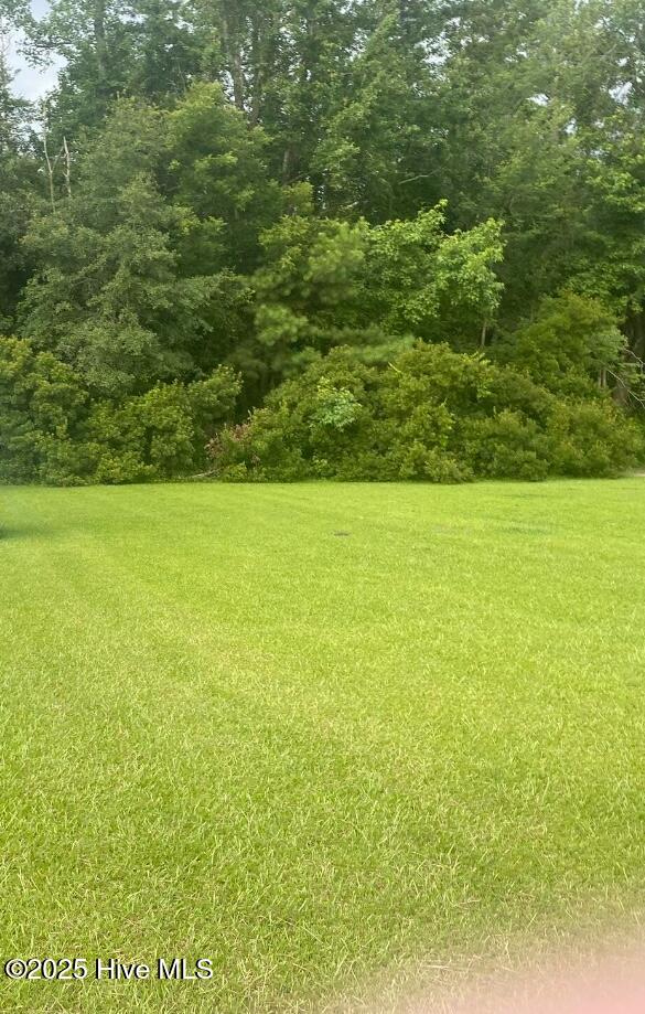 702 Conway Road Fair Bluff, NC 28439 - Photo 1 of 2 land