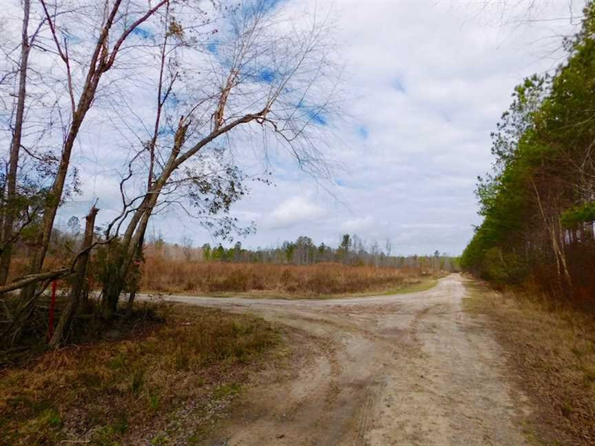 0 Dutch Neck Road Salters, SC 29590 - Photo 5 of 6 Gallery Image 5