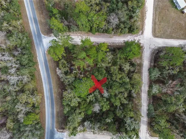 a view of a yard with plants and large trees