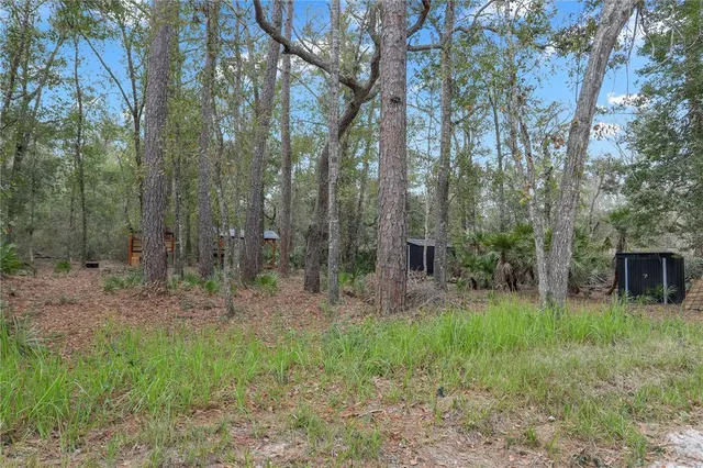 a backyard of a house with lots of green space