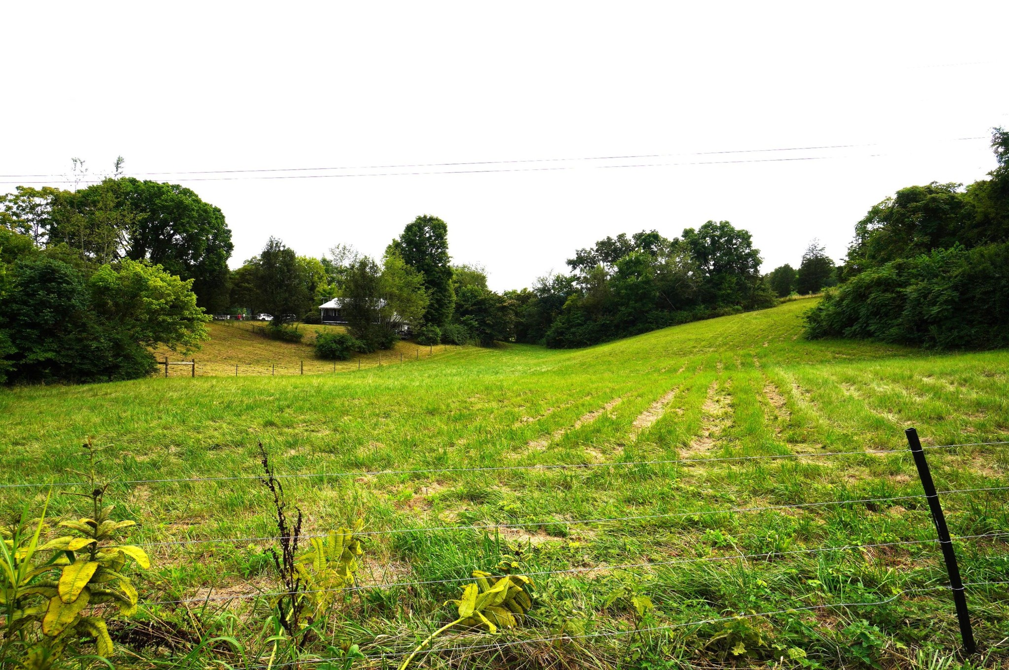 1271 Sager Road Dandridge, TN 37725 - Photo 8 of 41 Gallery Image 8