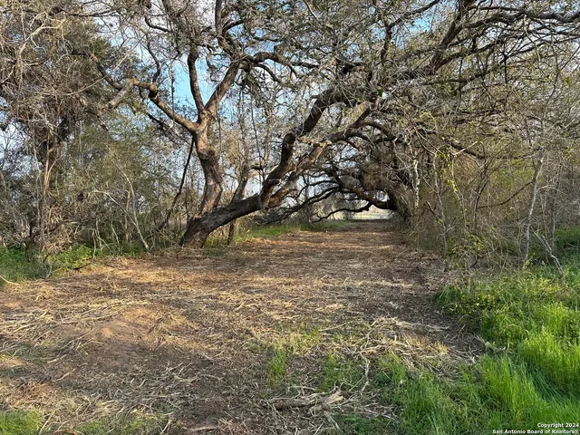 a view of a yard with a tree