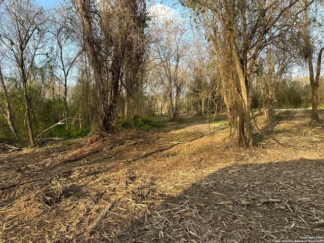 a view of a yard with trees