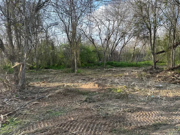 a view of outdoor space with trees