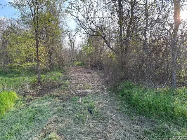 a big yard with lots of green space and deers