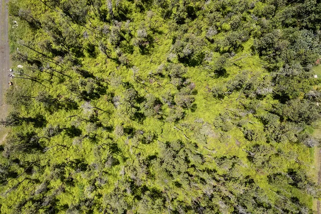 a picture of a lake view