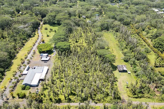 a view of a yard with plants and wooden fence