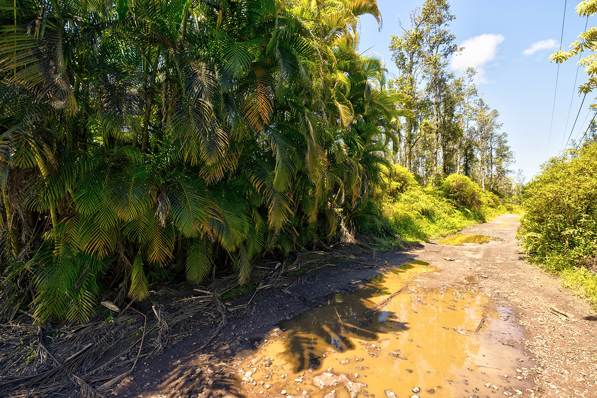 73 Nanawale Farms Road Pahoa, HI 96778 - Photo 2 of 15 a view of backyard