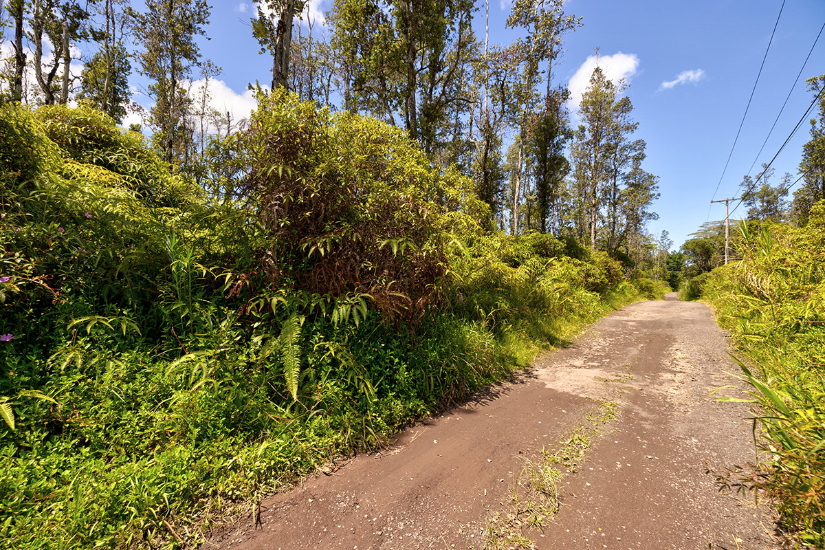 73 Nanawale Farms Road Pahoa, HI 96778 - Photo 5 of 15 a view of a garden with plants and trees